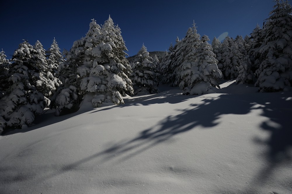 雪、雪、雪♪_c0221838_0511081.jpg