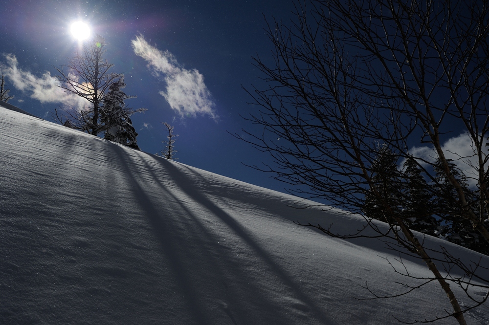 雪、雪、雪♪_c0221838_052012.jpg