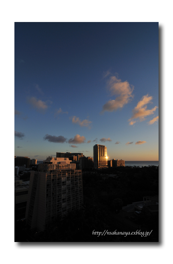 さかなや家族 旅行 in Hawaii　〜 ４日目 〜　まったり ” おひとり Time_d0069838_18181984.jpg