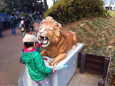 思いたって動物園。_f0225139_934726.jpg