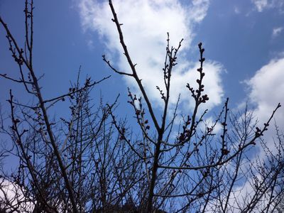 c0211540_1221554.jpg