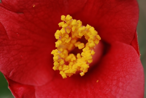 f0229844_2355406.jpg