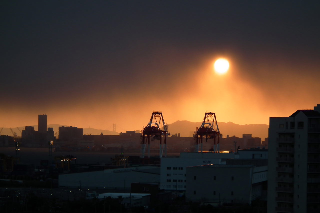 今日の梅林、今日のマンサク、ユキヤナギ、夕焼け雲、サンフラワー薩摩、落日_a0030958_031375.jpg