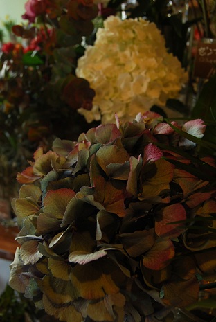 a0201358_17272471.jpg