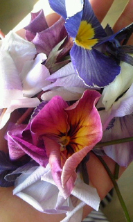 c0047860_10552077.jpg