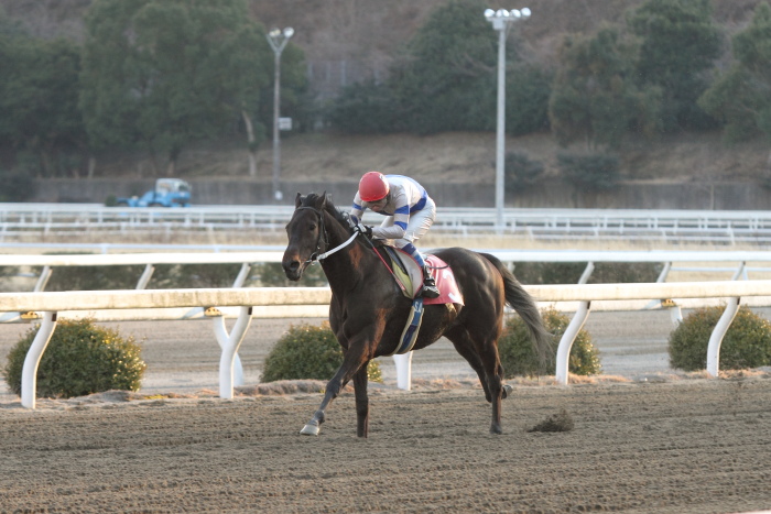 森井美香騎手、ラストラン その2_a0077663_8193491.jpg