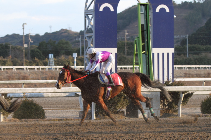 森井美香騎手、ラストラン その2_a0077663_8455470.jpg