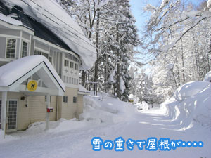 今冬 初スノボ~!_e0251265_2004739.jpg