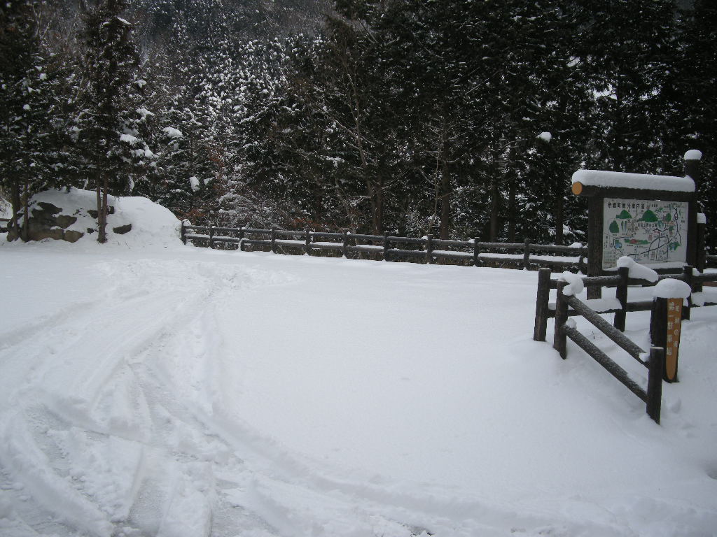 No196  寒波、那岐山も大雪_b0185573_20423393.jpg