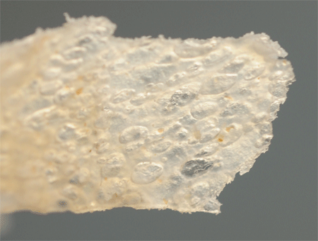 c0196673_20362825.gif