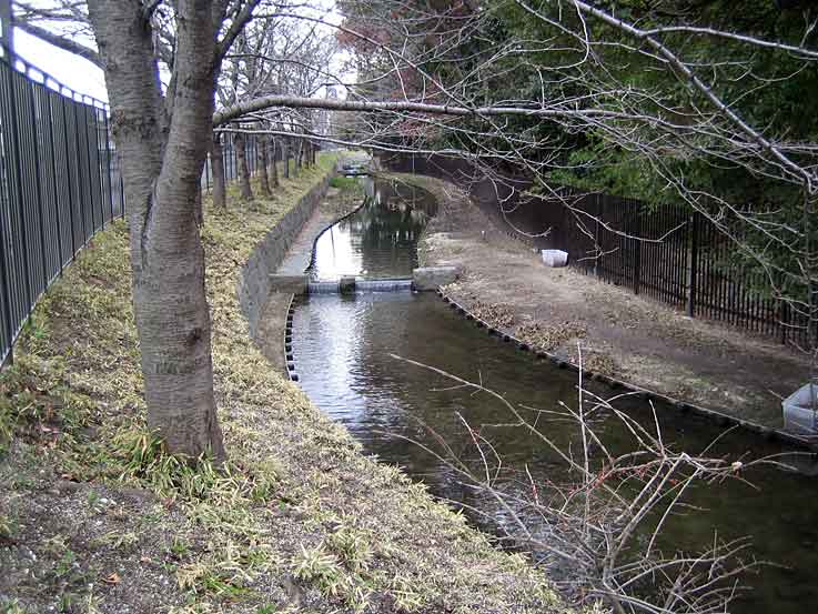 b0057679_815463.jpg