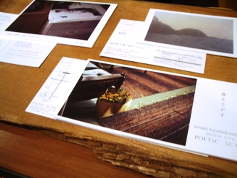 森をさがす 林田摂子 写真展_a0116684_22395032.jpg