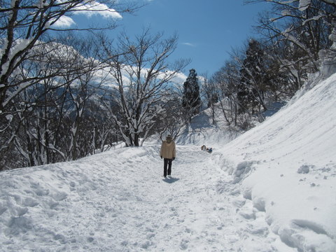 登山教室2日目_a0104890_15262616.jpg