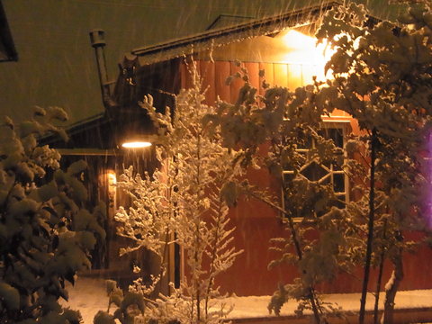 a0204090_0432761.jpg