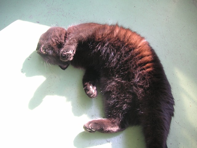 d0057595_0363955.jpg
