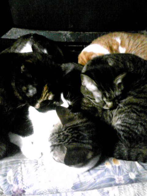 a0232197_22373082.jpg