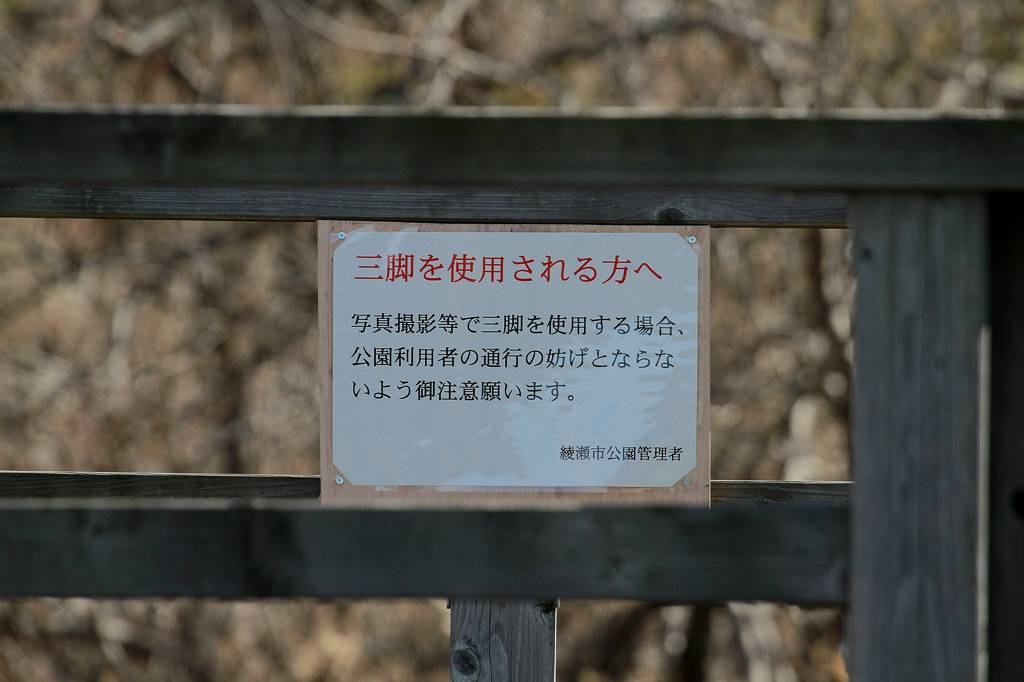 梅の小枝に/こんな看板が・・・/眉月_b0024798_9293575.jpg