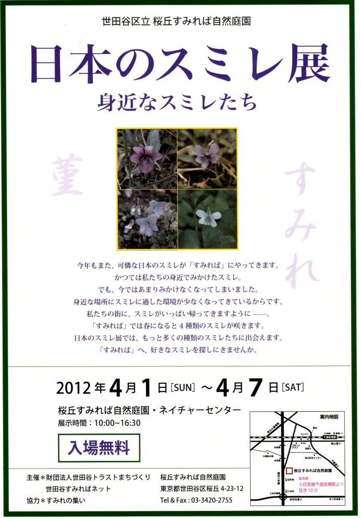 「日本のスミレ展」のご案内_b0049307_14514127.jpg