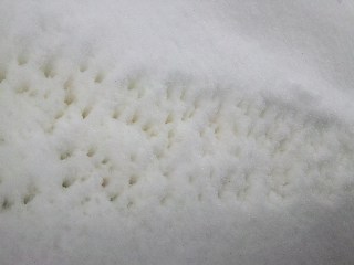 d0099708_8594890.jpg