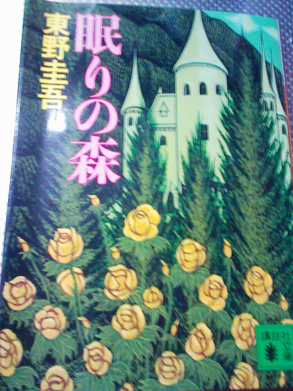 ようやく、加賀恭一郎２冊目。_a0138219_2322277.jpg