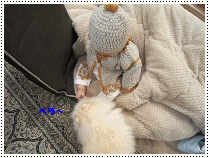 b0167519_1017872.gif