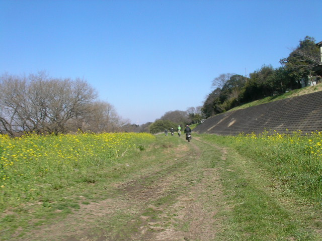 c0223419_1535763.jpg
