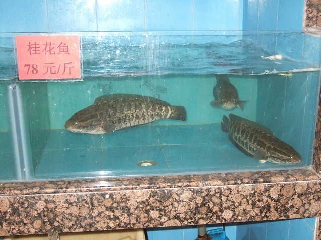 c0208836_224457100.jpg