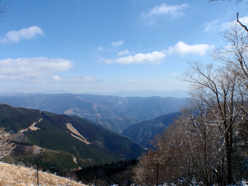 仰烏帽子山 （福寿草）_b0168843_8241187.jpg