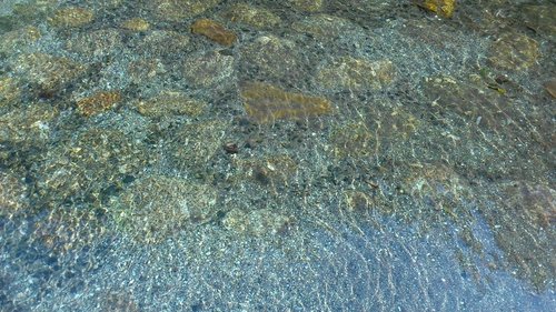 f0229844_23442661.jpg