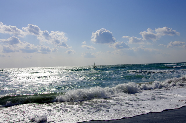 d0186245_1755597.jpg