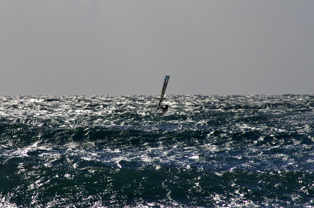 d0186245_1773374.jpg