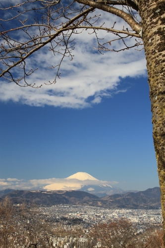 a0120949_62479.jpg