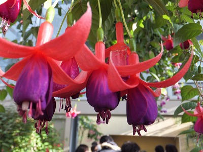 d0048350_19252112.jpg