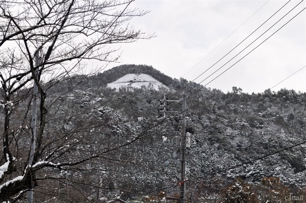 e0125762_2281277.jpg