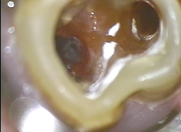 b0196070_20113988.png