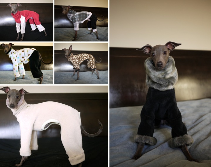 素敵な犬の洋服屋さん☆_c0080075_3185841.jpg