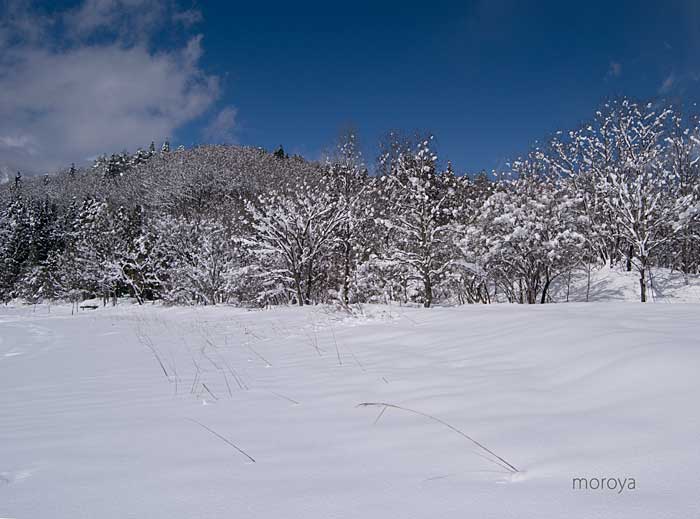 雪晴れの青木湖_c0085877_7482773.jpg