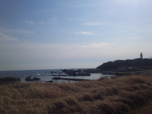 d0042380_19144471.jpg