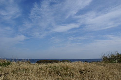 d0042380_19425360.jpg