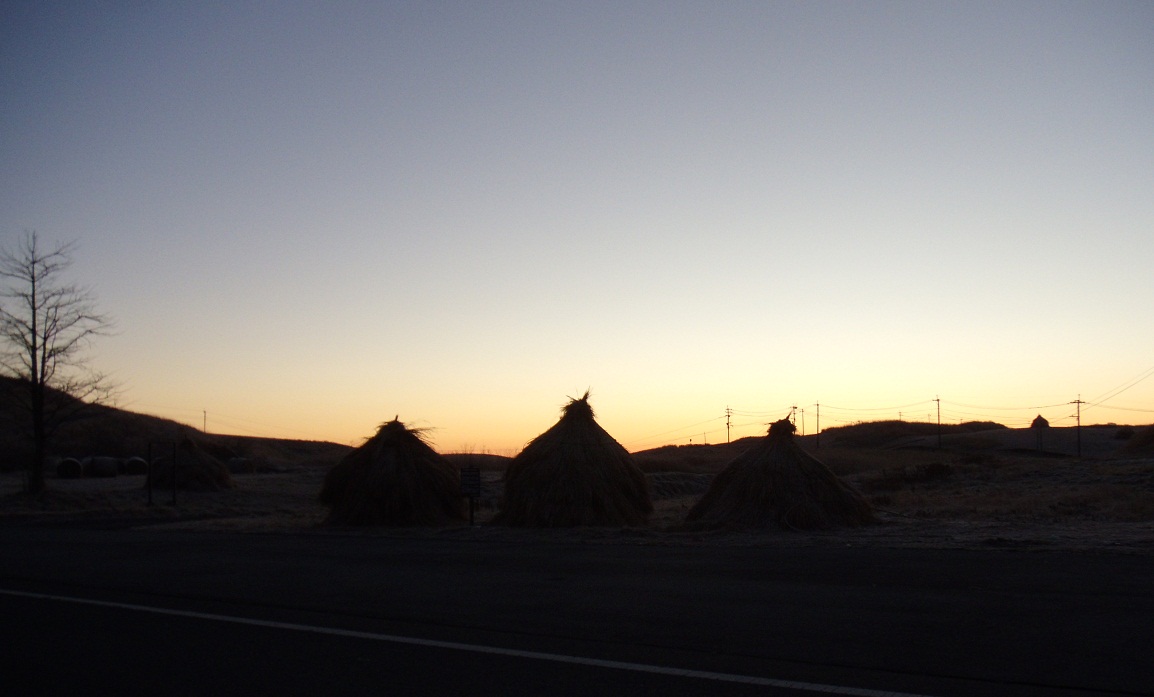 b0056282_1031444.jpg
