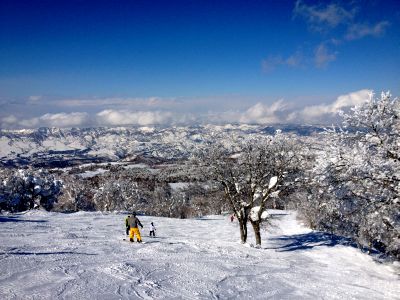 野沢温泉へスキーに行ってきました（2月18－20日）_d0021786_12373126.jpg