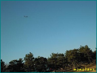 d0044986_05406.jpg