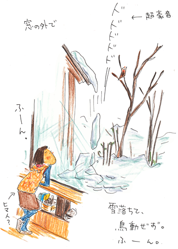鳥の耳_f0236291_6462734.gif