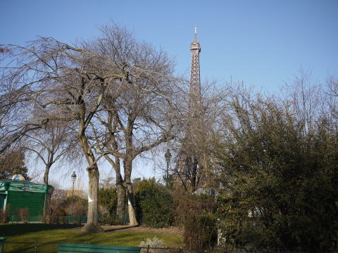 c0090198_55174.jpg