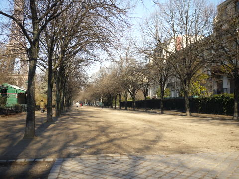 c0090198_5903.jpg