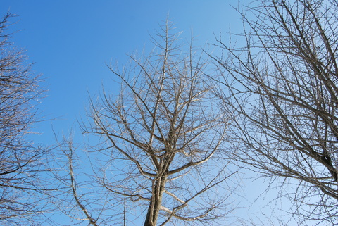 e0251903_2058203.jpg