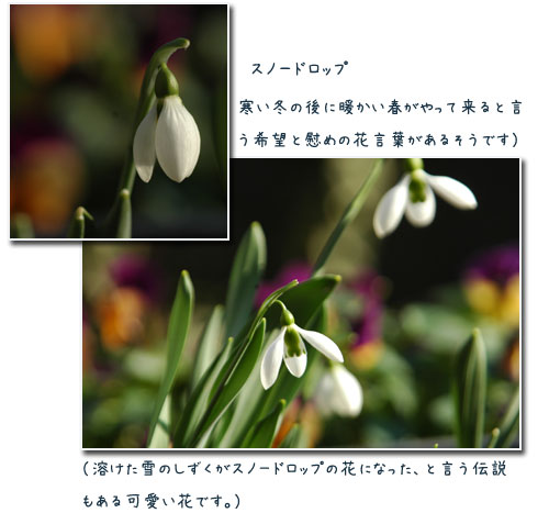 孫からの電話_c0051105_2220674.jpg