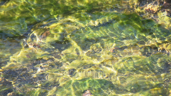 f0233414_2364186.jpg