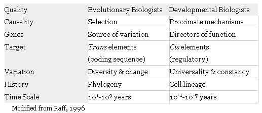 エヴォ-デヴォの反革命的歴史?_c0025115_19253372.jpg