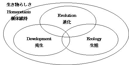 エヴォ-デヴォの反革命的歴史？_c0025115_19414443.jpg